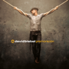 Cuidar Nuestro Amor (I'll Never Let Go) - David Bisbal