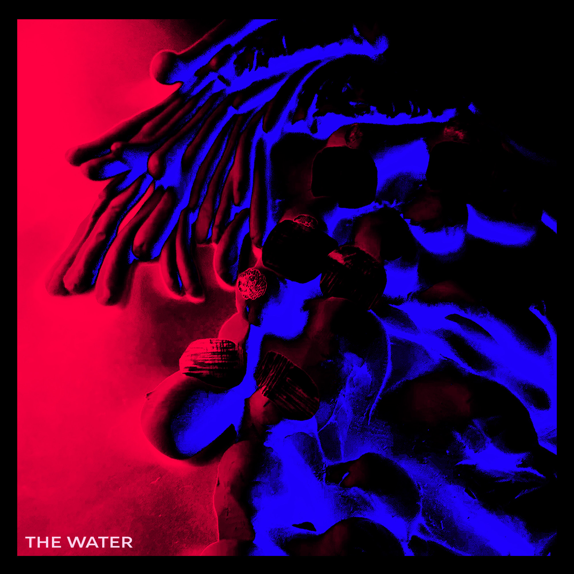 The Water - Single