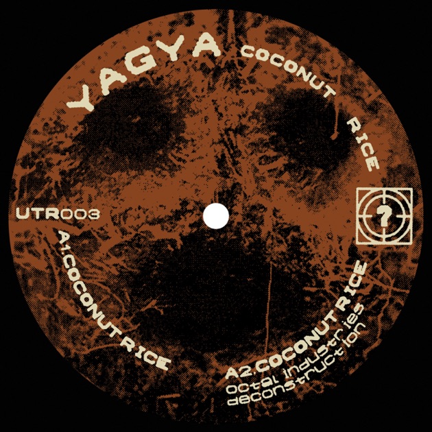 Will I Dream During the Process? - Album by Yagya - Apple Music