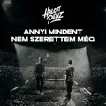 Annyi mindent nem szerettem meg