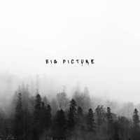 Big Picture - Single - Drippyy Beats
