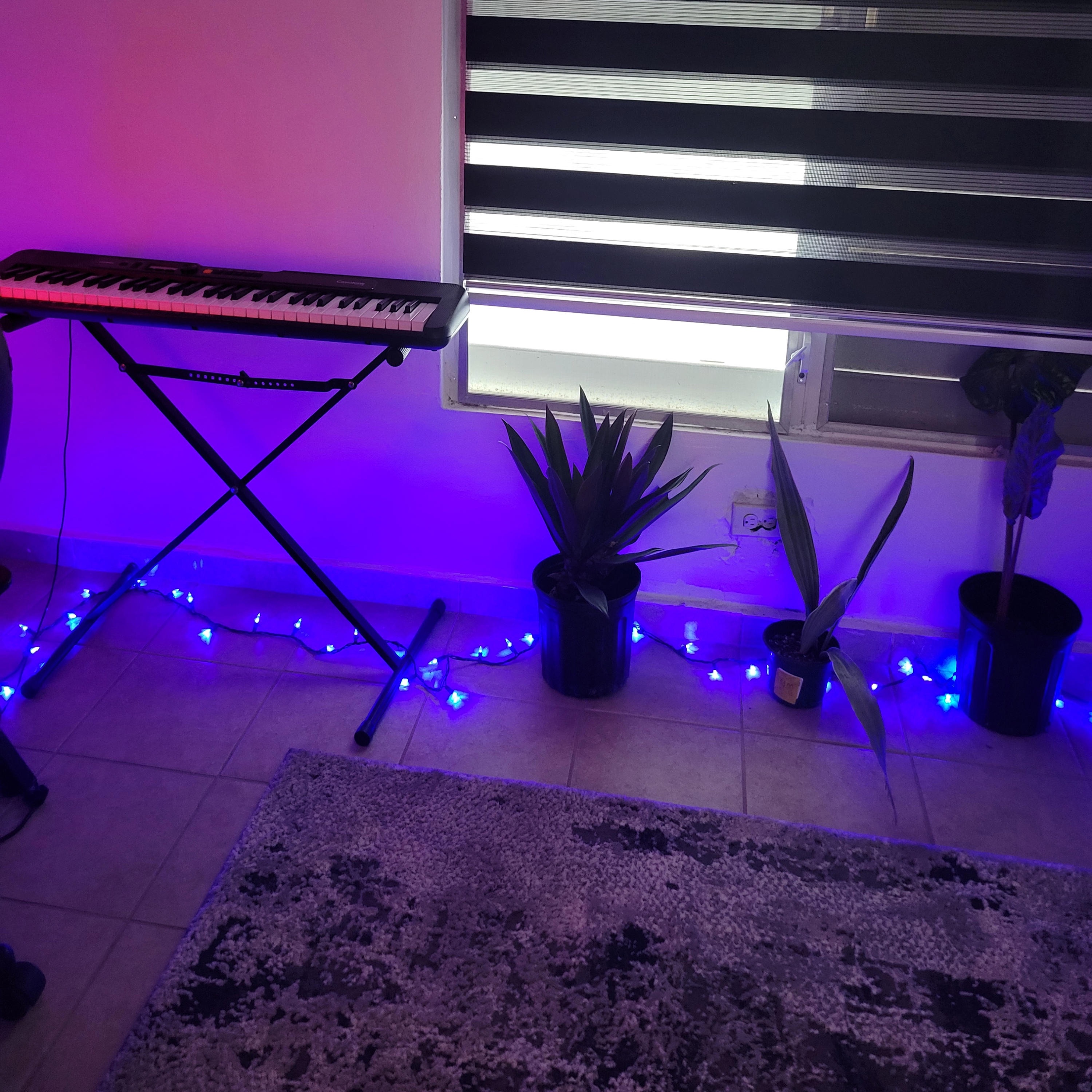 Mueve tus caderas - Single