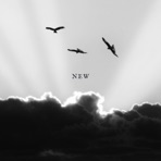 New - Single