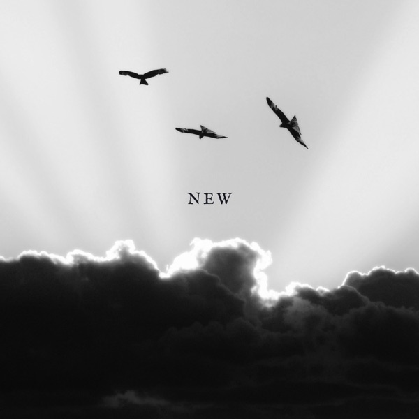 New