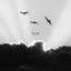 New - Single