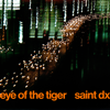 Saint DX - Eye of the Tiger illustration