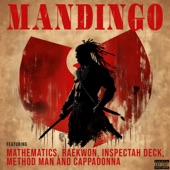 Mandingo (feat. Raekwon, Inspectah Deck, Method Man, Cappadonna & Mathematics) artwork