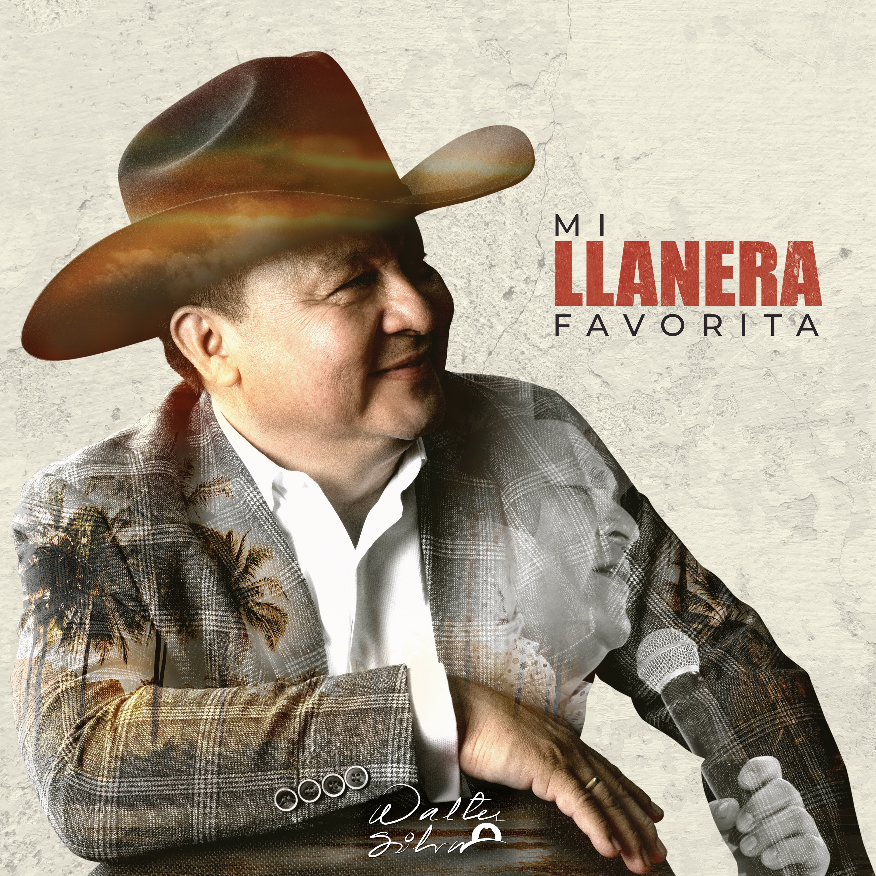 Mi Llanera Favorita - Single
