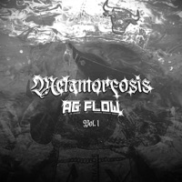 METAMORFOSIS VOL. I - AGFlow