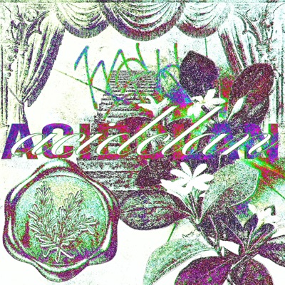 acidclan - Single