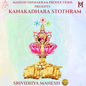 KANAKADHARA STHOTHRAM (feat. Srividhya Mahesh)
