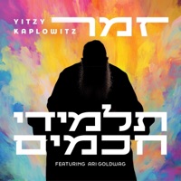 Zamer/ Talmidei Chachamim - Single - Yitzy Kaplowitz & Ari Goldwag