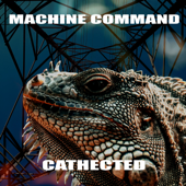 Cathected