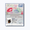Passport - XØ JÜMPO & Lucy Low new Single