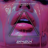 Bad Boy - Single - LEVT & Patrick Scuro