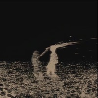 LOSSLESS - Single - Galoiff