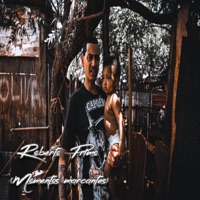 Momentos Marcantes - Single - Roberto Primo