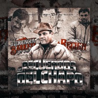 Los Recuerdos Del Chapo (feat. Herencia Barraza) - Single - Grupo Recien