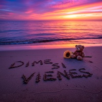 Dime Si Vienes - Single - EL FOCU & Miks