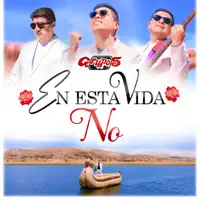 En Esta Vida No