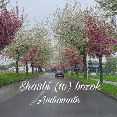 Audiomate - شعبي 10 بزق