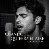 Se Quiebra el Aire - Single - SOUL ARCHIVE ROOM