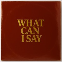 What Can I Say - Single - Jason Ozzie Ash
