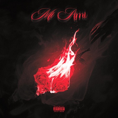 MI AMI - Single
