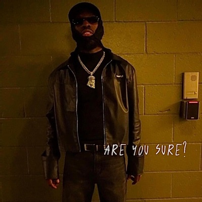are you sure?.. - Single