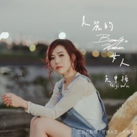 美麗的女人 (三立五點檔 甘味人生 片尾曲) - Single - Gigi Wu