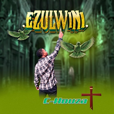 Ezulwini (feat. Mkhanya Ledimo) - Single