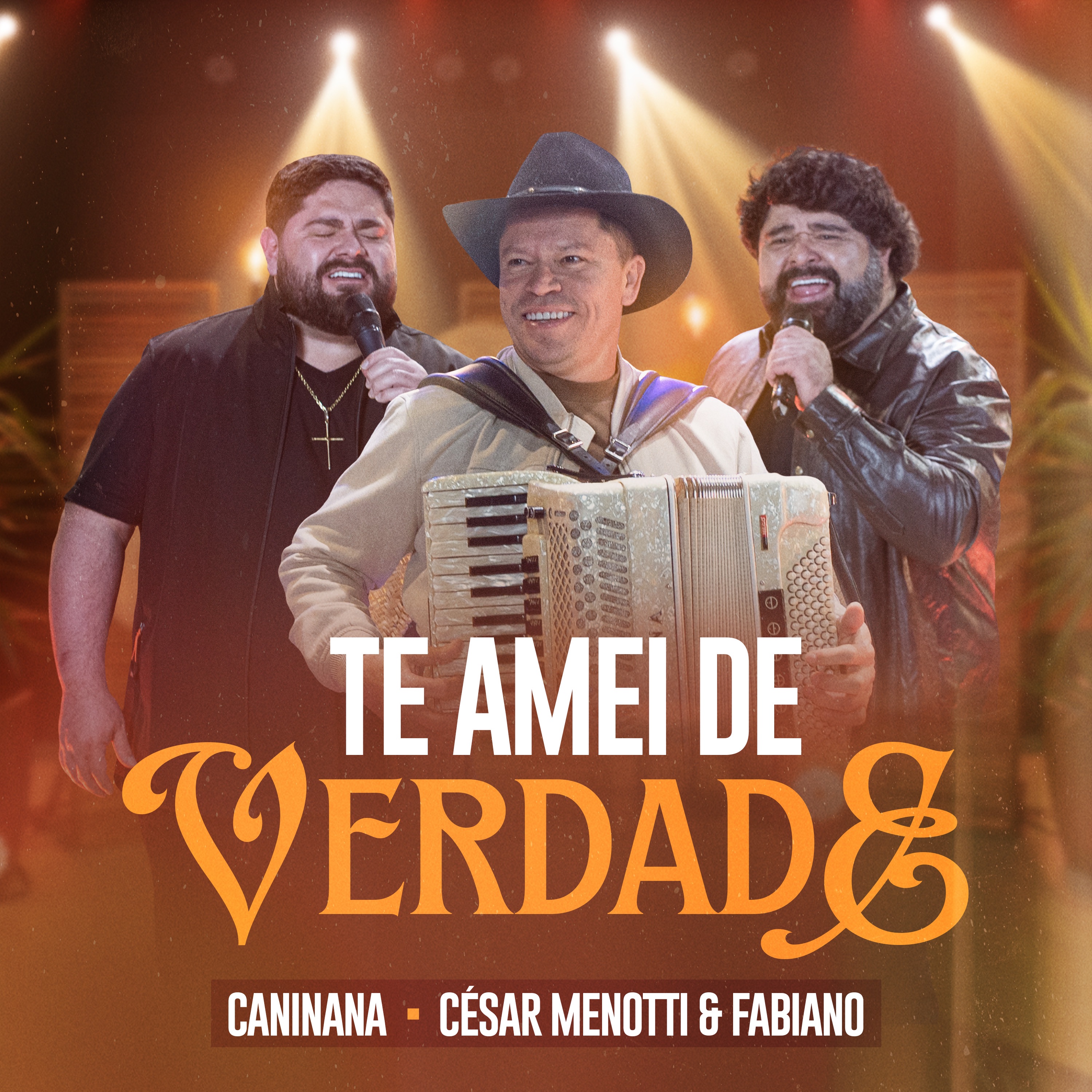 Te Amei de Verdade - Single