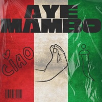 Aye Mambo (feat. Vanessa Campagna) - Single - Light League