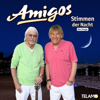 Amigos - Stimmen der Nacht artwork