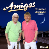 Stimmen der Nacht - Amigos Cover Art