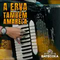 A Erva Também Amarela