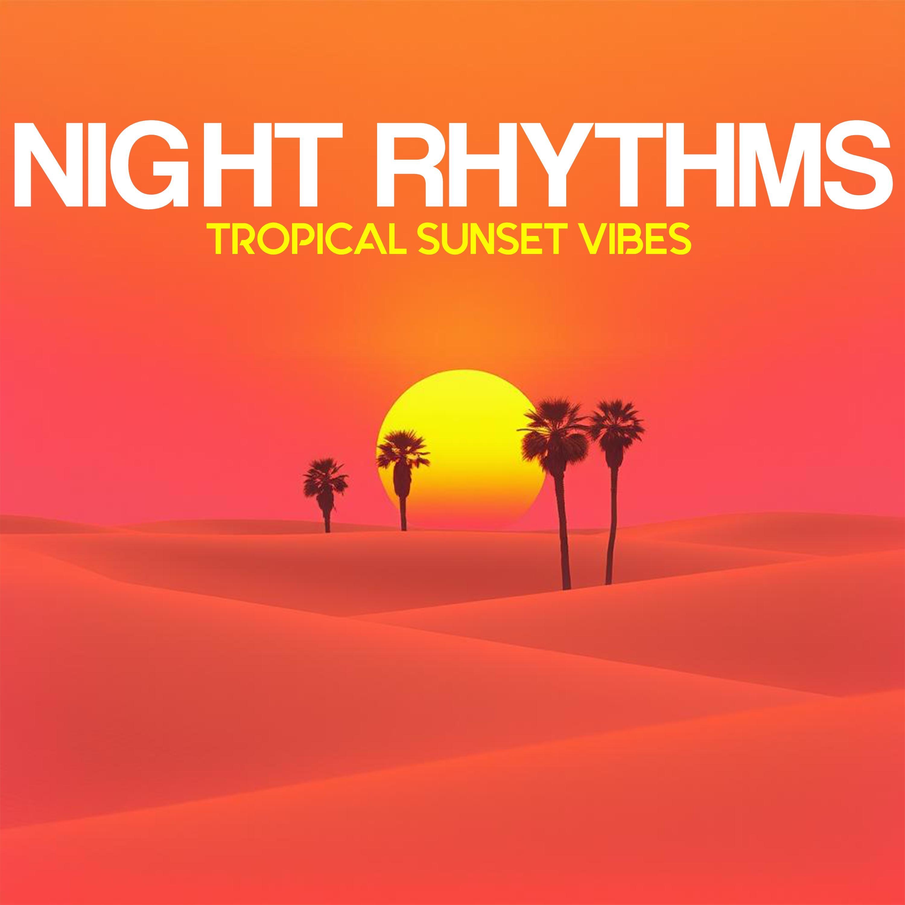 Night Rhythms - Single