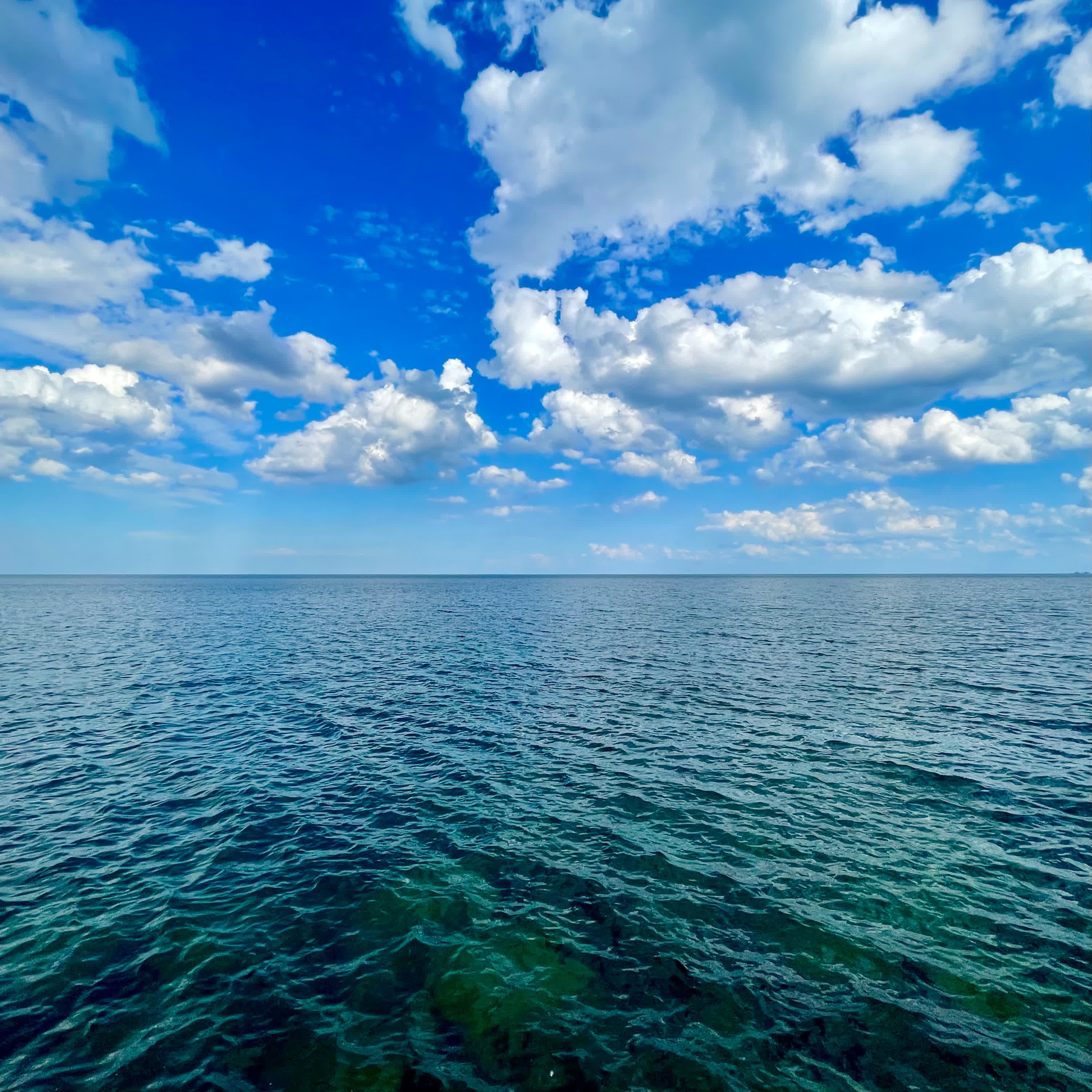 All Things Are Pure - Single