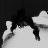 necromancer (feat. bugboi) - Single - babyt33th