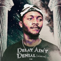 Delay Ain't Denial: The Album - Boi Sticx