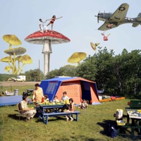 Amanita Muscaria - Single - Flat Ruy