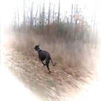 don't hold it all in! - Single - jaso