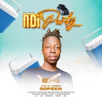 Ndi'Party - Single - sopzen