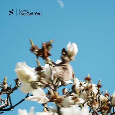 I've Got You - Single