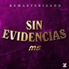 SIN EVIDENCIAS