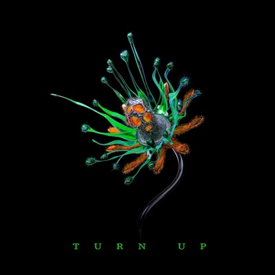 Turn Up - Single