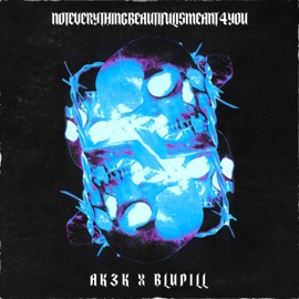 Trust Nobody Ak3k & Blupill
