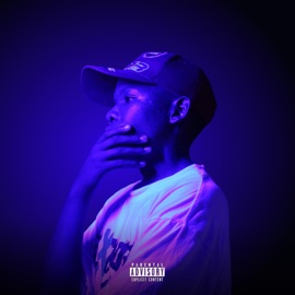 MI AMOR (feat. Mufasa) Fela Mayne