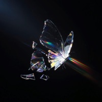 Crystal Pain (feat. Lan) - Drum-K