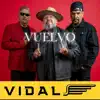 VUELVO